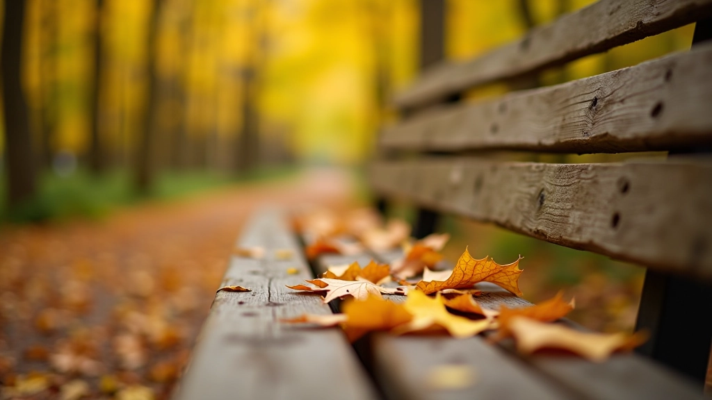 Close-up of weathered wooden bench with autumn leaves scattered on seat, forest canopy overhead, natural park setting, detail photography